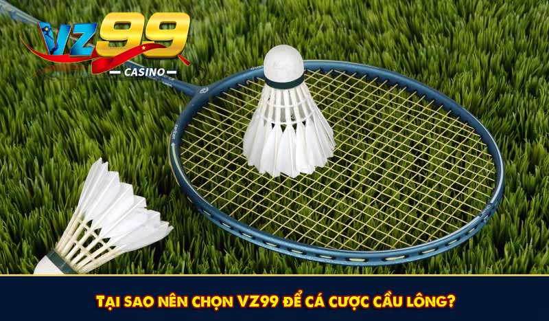 Tại sao nên chọn VZ99 để cá cược cầu lông?