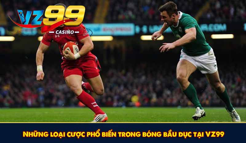 Những loại cược phổ biến trong bóng bầu dục tại VZ99